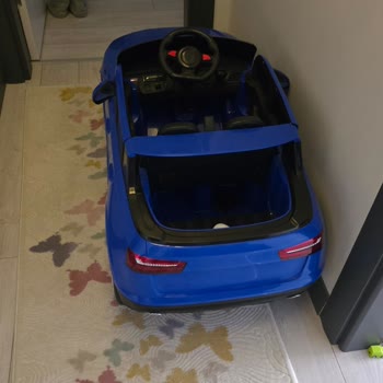 Güvenlik Sorunları Ve Yetersiz Müşteri Hizmeti: Buhar Makinesi Ve Akülü Araba Deneyimi