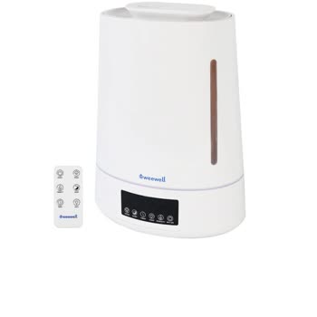 Güvenlik Sorunları Ve Yetersiz Müşteri Hizmeti: Buhar Makinesi Ve Akülü Araba Deneyimi