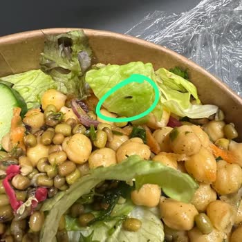 Ataşehir Şubesinde Böcekli Sipariş Ve İletişim Sorunu