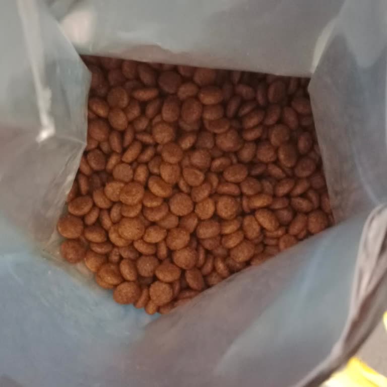 Yanlış Ürün Ve İletişimsizlik: Hepsiburada'da Ürpüş Pet Deneyimi