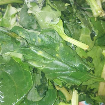 Tarihi Geçmiş Ve Çürük Ürün Teslimatı