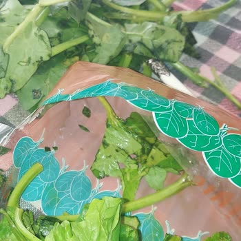 Tarihi Geçmiş Ve Çürük Ürün Teslimatı