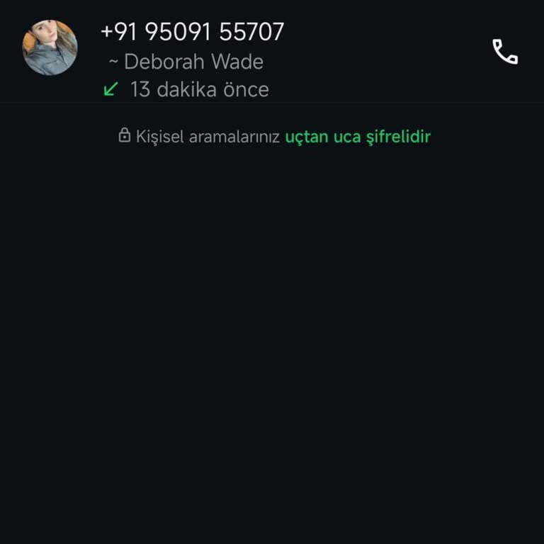 Bilinmeyen Numaralardan Gelen Aramalarla İlgili Gizlilik Endişesi Ve WhatsApp'a Uyarı