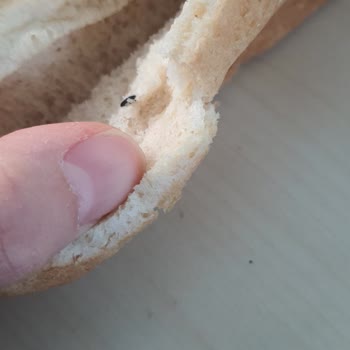 Uno Ekmek Sandviç Ekmeğinde Şüpheli Madde