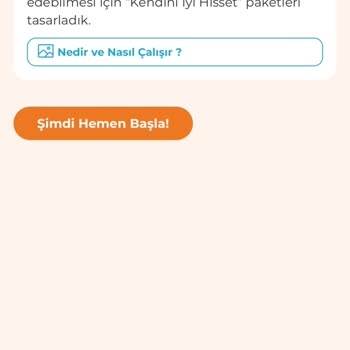 Terapi Evreni Uygulamasında Yanıtsız Kalan Talepler