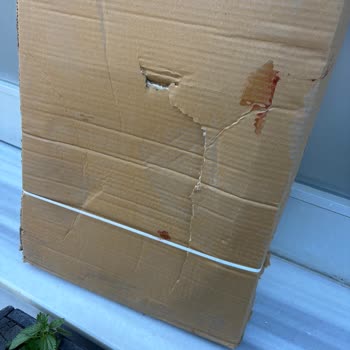 Kırılabilir Ürüne Saygısız Yaklaşım