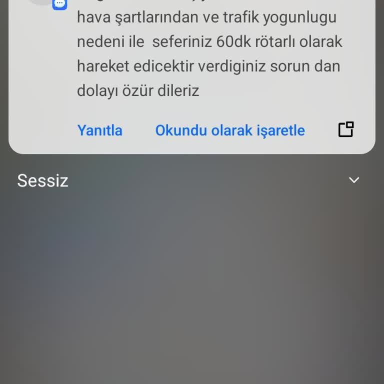 Kamil Koç'un Rötarlı Ve Sorunlu Yolculuğu