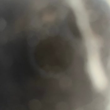 Siemens Çamaşır Makinesi Tamiratında İletişim Sorunu