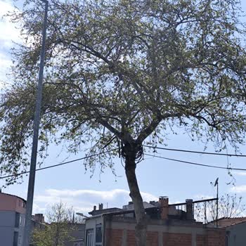 Bir Aydır Çözülemeyen İnternet Sorunu