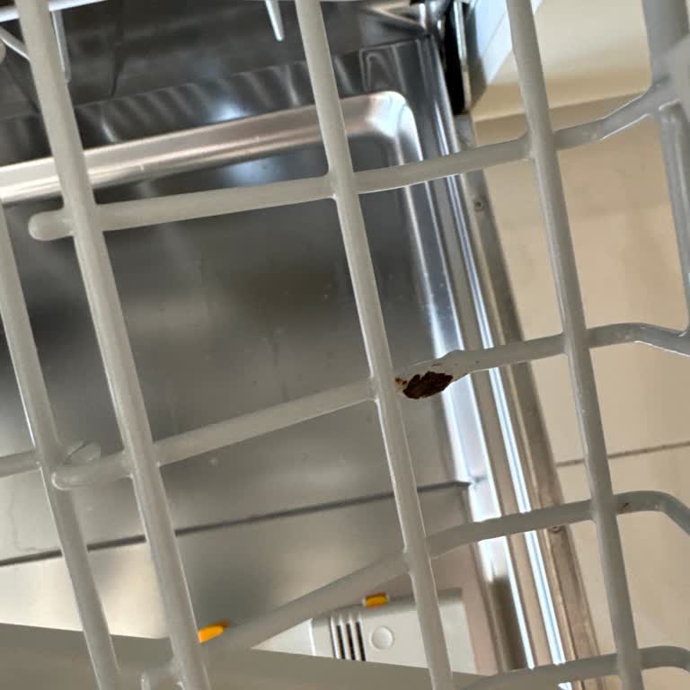 Miele Bulaşık Makinesinde Üst Sepet Paslanma Sorunu Ve Yüksek Yedek Parça Ücreti