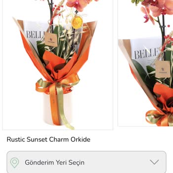 Yanlış Renk Orkide Gönderimi