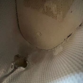 Nike Court Borough Low SL bereits nach wenigen Monaten stark beschädigt