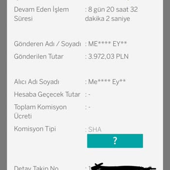 Uluslararası Para Transferinde Gecikme Ve İletişim Sorunları