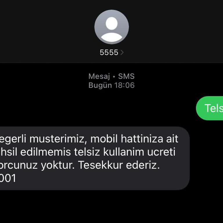 Ödenen Vergi Borcu Sisteme Yansımıyor