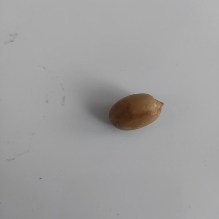 Kurtuluş Kuruyemiş'ten Aldığım Acılaşmış Fıstık Ve İlgisiz Müşteri Hizmeti