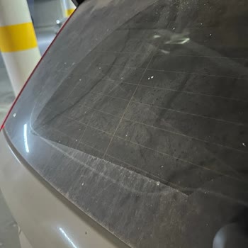 Vale Hizmeti Zorunlu, Araç Çamurlu Teslim Edildi