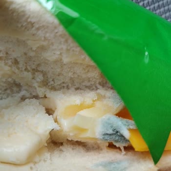 Son Kullanma Tarihi Geçmemiş Üründe Küf: Dardanel'e Güvenim Kalmadı