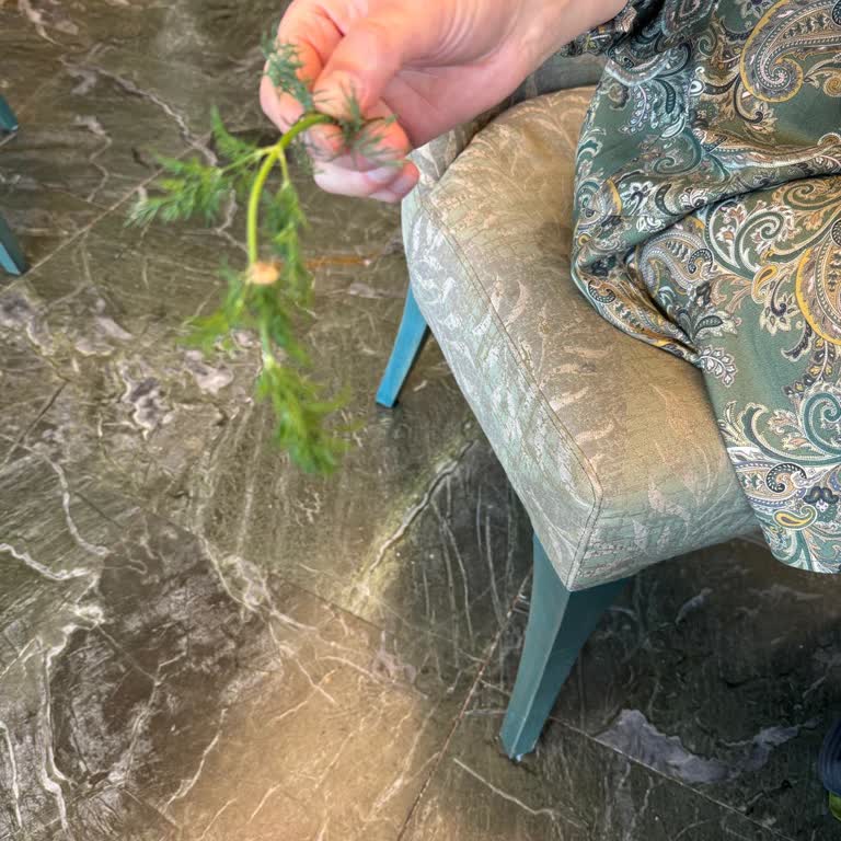 Kıbrıs Concorde Luxury Resort'tan Şikayetçiyim