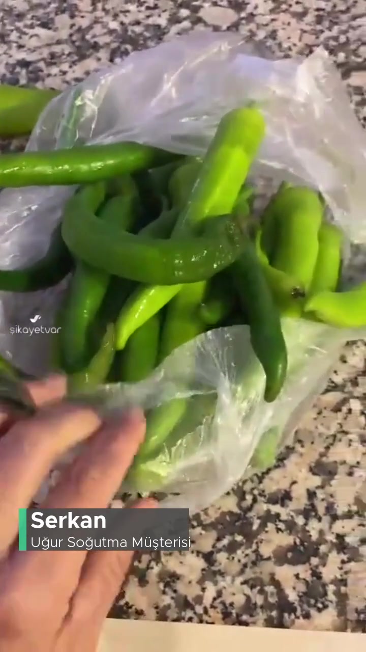 Uğur Buzdolabı Pişmanlığı, Bir Daha Asla! videonun kapak resmi