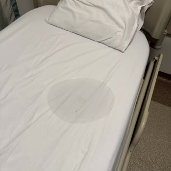 Serumun Yatağa Akması Ve Yüksek Ücret Talebi