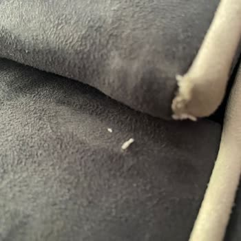 Tepe Home Koltuk Takımı: Sürekli Sorun Ve Hayal Kırıklığı