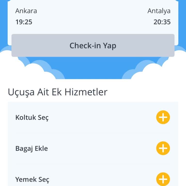 Pegasus Uçuşunda Yaşanan Personel İlgisizliği Ve Mağduriyet