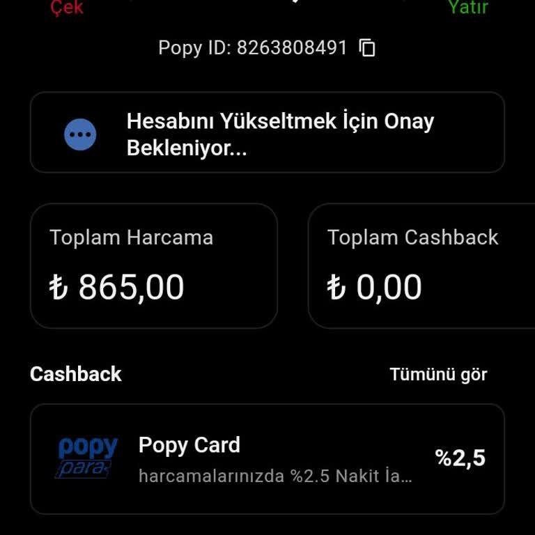 Hesap Yükseltme Sorunu: Yatırım Ve Çekim Engeli