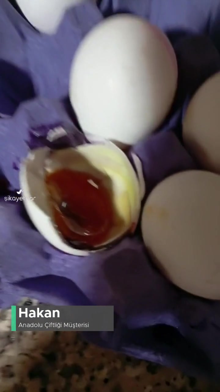 Anadolu Çiftliği Yumurtalar Kırık Ve Bozuk! videonun kapak resmi