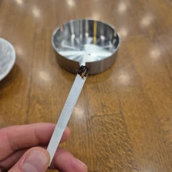 Parliament Midnight'ta Beklenmedik Sorun: Odun Parçaları