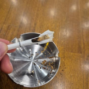 Parliament Midnight'ta Beklenmedik Sorun: Odun Parçaları