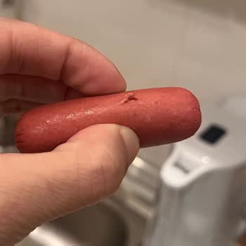 Sosisin İçinden Çıkan Kıl Şoku: Hijyen Ve Kalite Kontrol Sorunu