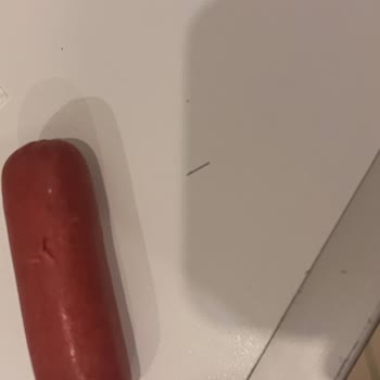 Sosisin İçinden Çıkan Kıl Şoku: Hijyen Ve Kalite Kontrol Sorunu