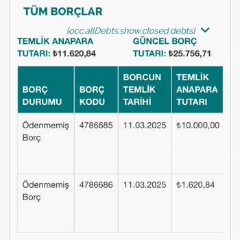 Dünya Varlık Borç Devri Sonrası Yanlış Borç Hesaplaması