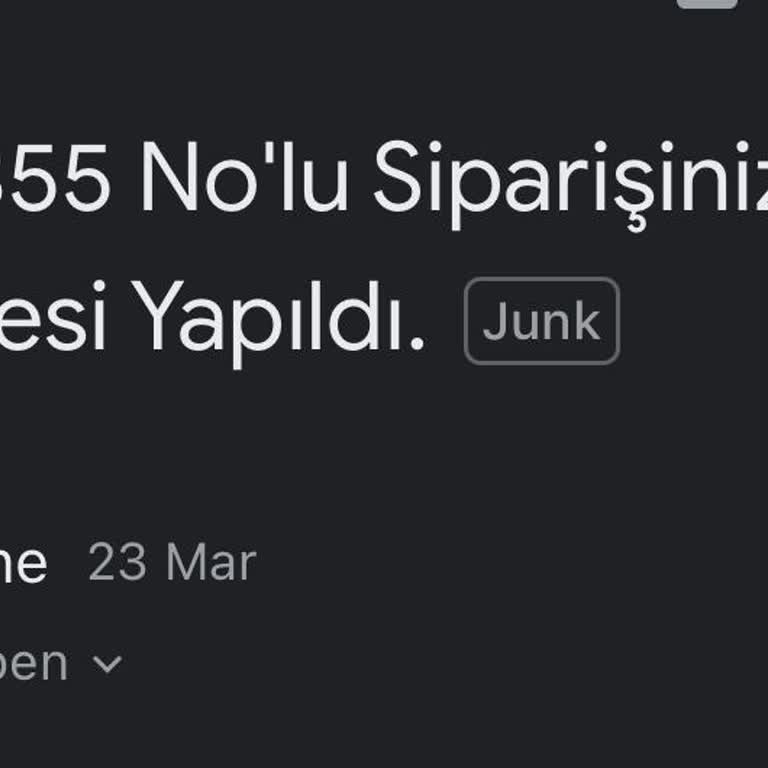 Armine İade Sürecinde Yaşanan Sorunlar