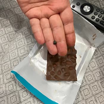 Çikolata İçinden Çıkan Taş Tehlikesi