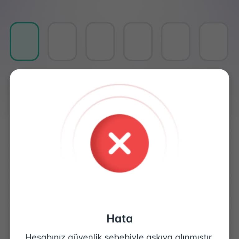 Hesap Askıya Alındı, Yanıt Bekleniyor