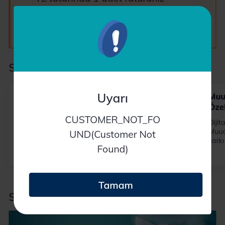 Türk Telekom'un Sil Süpür Sorunu