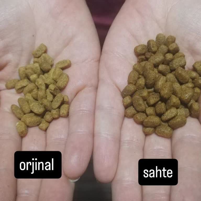 Sahte Kedi Maması Mağduriyeti: Satıcı Ortadan Kayboldu