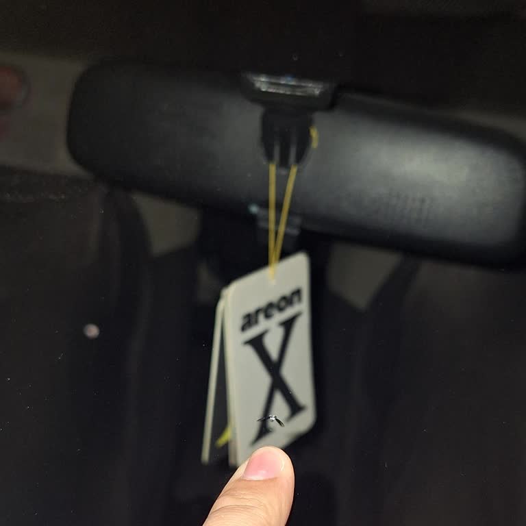 Aveon Kasko Müşteri Hizmetleri Ve Sigorta Desteği Sorunu