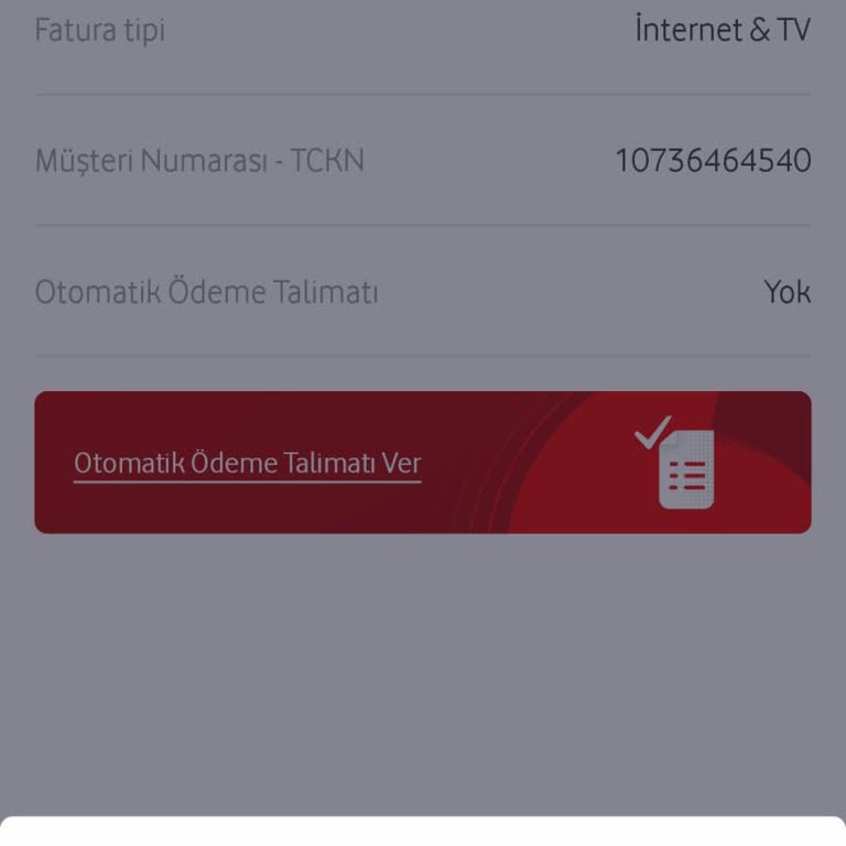 Fatura Sorunu Ve Nakil İşlemi Engeli