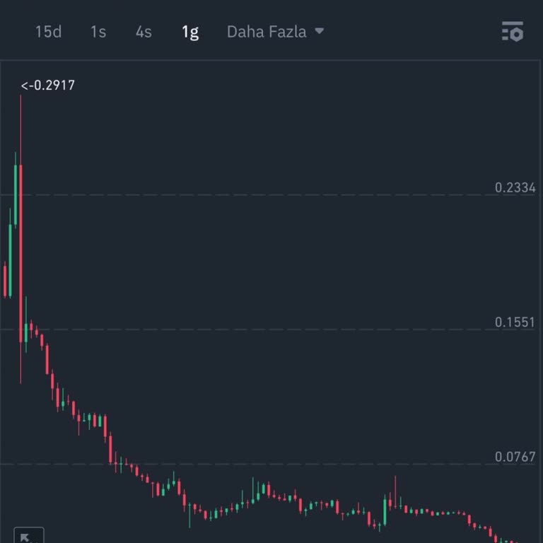Troy Coin İşlem Çiftinin Kaldırılmasıyla Yaşanan Mağduriyet