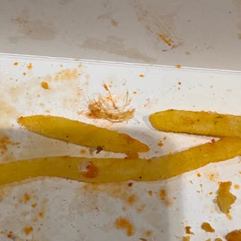 Soğuk Yemek Ve Hijyen Sorunu