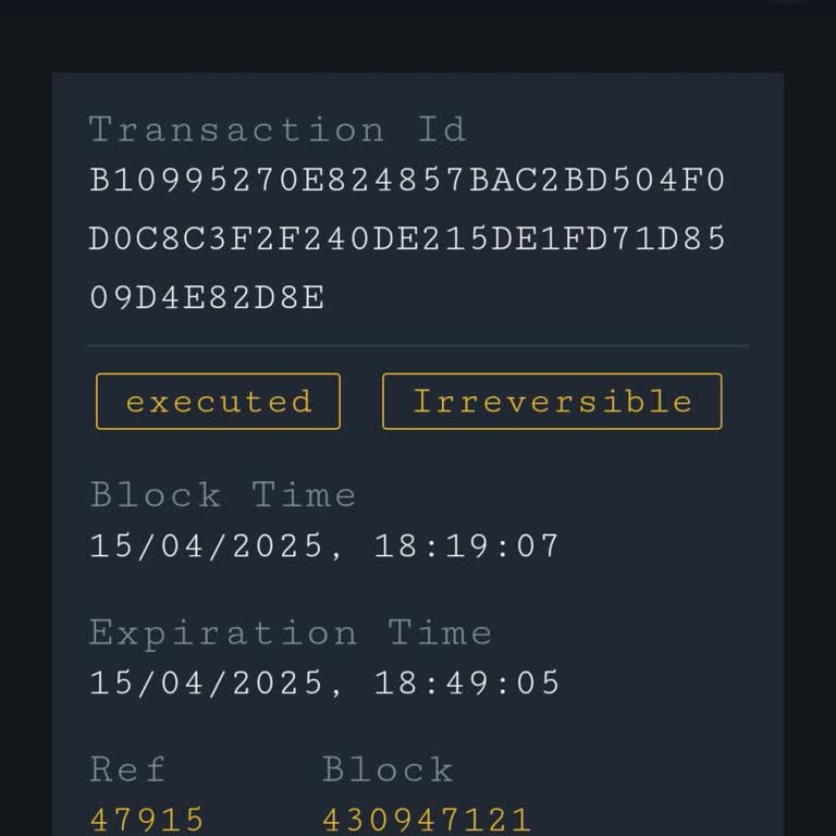 ByBit Deposit Not Credited