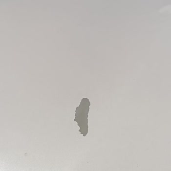 Boss Oto Yıkama Aracıma Zarar Verdi