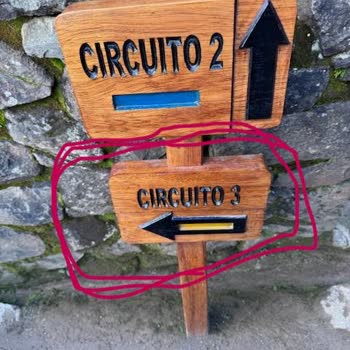 Ejder Tur İle Hayal Kırıklığı Dolu Bir Seyahat