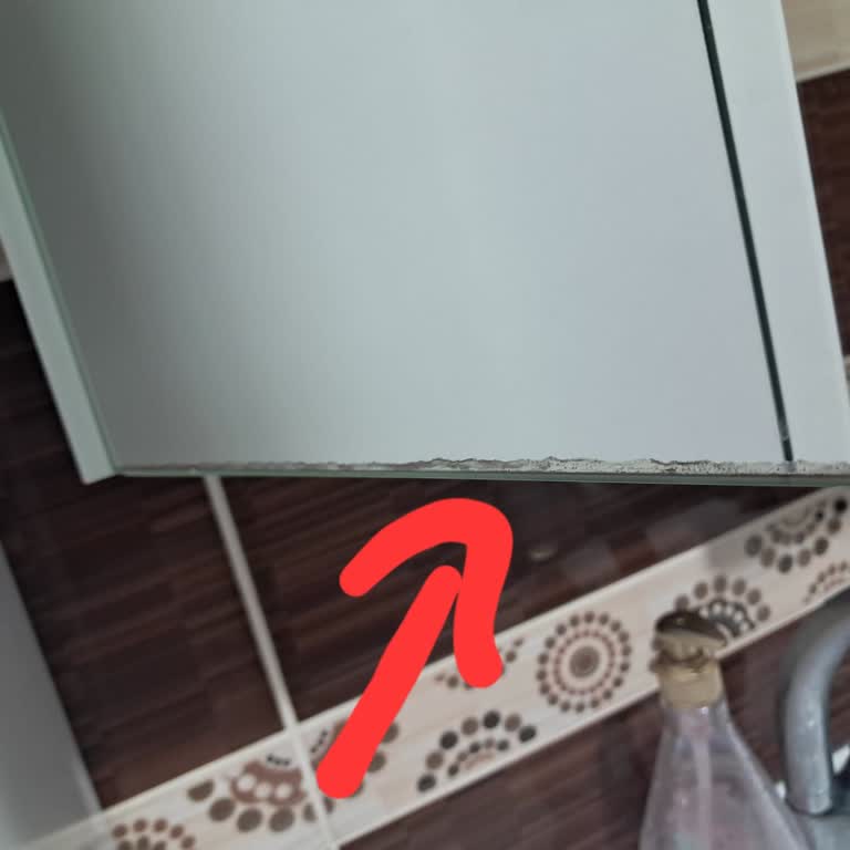 Kale Banyo Dolabı: Güvenimizi Yıkan Kararma Sorunu