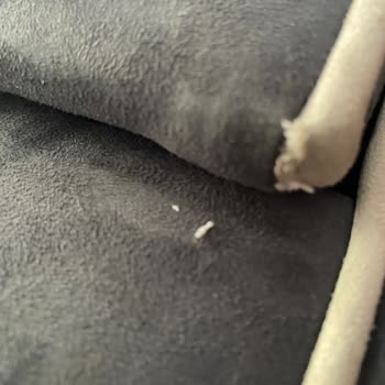 Tepe Home'dan Yırtık Ürün Sorunu