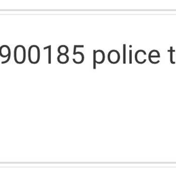 İzinsiz Yenilenen Sigorta Poliçesi İçin İade Talebi