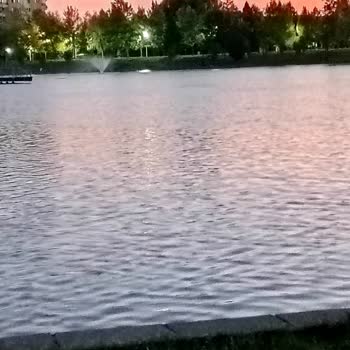 Harikalar Diyarı'nın Yok Edilmesine Tepki