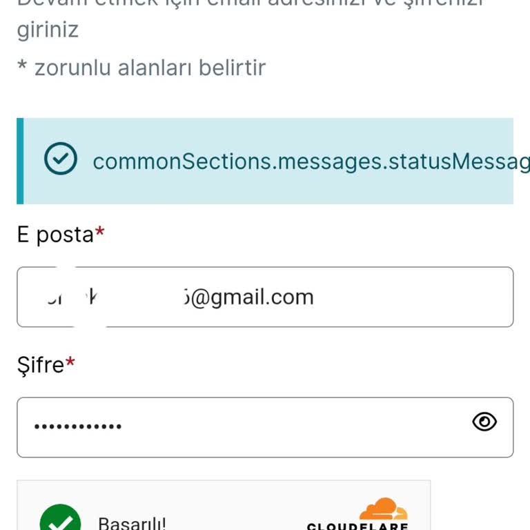 VFS Global Fransa Vizesi İçin Randevu Alamama Sorunu